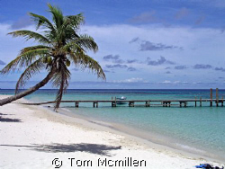 West Bay beach on the island of Roatan, great place to sn... by Tom Mcmillen 